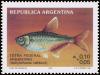 Colnect-4947-316-Tetra-Federal-Argentino-Aphyocharax-rathbuni.jpg