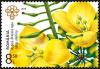 Colnect-5883-891-Field-Mustard-Brassica-rapa-oleifera.jpg