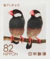 Colnect-5893-117-Java-Sparrows-Padda-Oryzivora.jpg