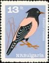 Colnect-621-472-Rosy-Starling-Sturnus-roseus-.jpg