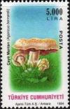 Colnect-759-520-Agaricus-Bernardii.jpg