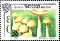 Colnect-1259-290-Marasmius-oreades.jpg