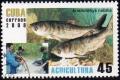 Colnect-1663-071-Bighead-Carp-Aristichthys-nobilis.jpg