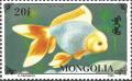 Colnect-1918-274-Yellow-Oranda-Carassius-gibelio-forma-auratus.jpg