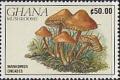 Colnect-2368-260-Marasmius-Oreades.jpg