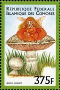 Colnect-3031-312-Agaricus-campestris.jpg