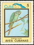 Colnect-3564-328-Cuban-Parakeet-Aratinga-euops.jpg