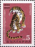 Colnect-3665-202-Leopard-Panthera-pardus.jpg