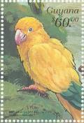 Colnect-3742-924-Golden-Parakeet-Guaruba-guarouba.jpg