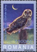 Colnect-5177-726-Short-eared-Owl-Asio-flammeus.jpg