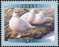 Colnect-570-142-Rock-Ptarmigan-Lagopus-mutus.jpg