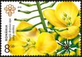 Colnect-5883-891-Field-Mustard-Brassica-rapa-oleifera.jpg