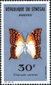 Colnect-5602-271-Pearl-Charaxes-Charaxes-varanes.jpg