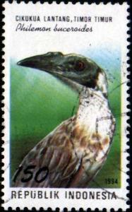 Colnect-936-101-Helmeted-Friarbird-Philemon-buceroides.jpg