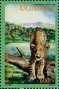 Colnect-2278-236-Leopard-Panthera-pardus.jpg