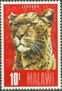 Colnect-1732-892-Leopard-Panthera-pardus.jpg