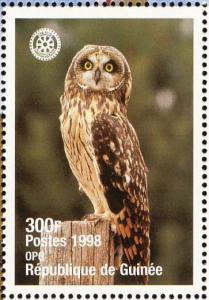 Colnect-868-373-Short-eared-Owl-Asio-flammeus.jpg