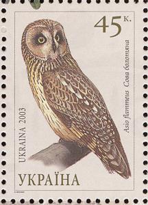 Colnect-998-334-Short-Eared-Owl-Asio-flammeus.jpg