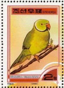 Colnect-1614-844-Slaty-headed-Parakeet-Psittacula-himalayana.jpg