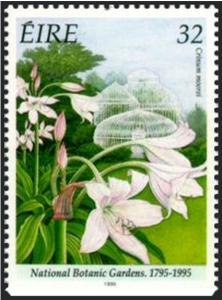 Colnect-1787-573-National-Botanic-Gardens-1795-1995---Crinium-moorei.jpg