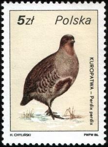 Colnect-1961-215-Gray-Partridge-Perdix-perdix.jpg