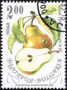 Colnect-3856-310-Pear---Pyrus-sativa.jpg