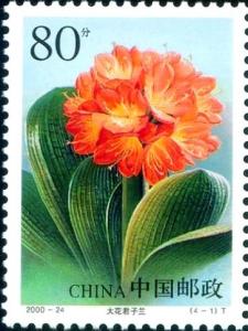 Colnect-1877-528-Scarlet-Kaffir-Lily.jpg