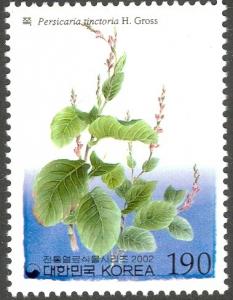 Colnect-1606-223-Persicaria-tinctoria-H-Gross.jpg