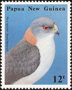 Colnect-3122-862-New-Britain-Sparrowhawk-Accipiter-brachyurus.jpg