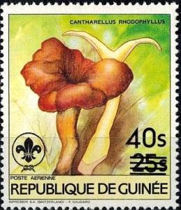 Colnect-2906-147-Cantharellus-rhodophyllus.jpg