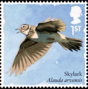 Colnect-4271-521-Skylark-Alauda-arvensis-.jpg