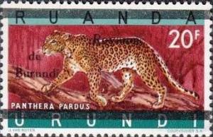 Colnect-1040-831-Leopard-Panthera-pardus.jpg