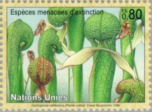 Colnect-138-559-Plants-Darlingtonia-californica.jpg