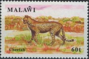 Colnect-1671-874-Leopard-Panthera-pardus.jpg