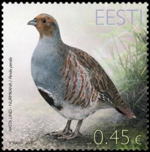 Colnect-1675-207-Gray-Partridge-Perdix-perdix.jpg