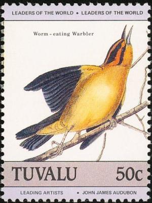 Colnect-1767-957-Worm-eating-Warbler-Helmitheros-vermivorus.jpg