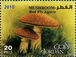 Colnect-1815-304-Fly-agaric-Amanita-muscaria.jpg