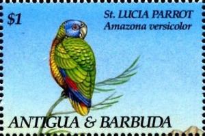 Colnect-1833-929-St-Lucia-Parrot-Amazona-versicolor-.jpg