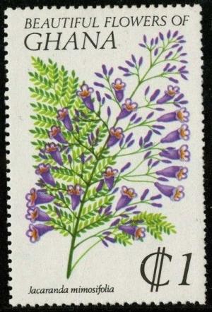 Colnect-1911-996-Jacaranda-Mimosifolia.jpg