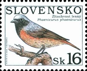 Colnect-1940-564-Common-Redstart-Phoenicurus-phoenicurus.jpg