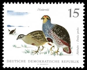 Colnect-1975-386-Gray-Partridge-Perdix-perdix.jpg