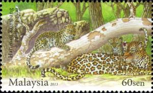 Colnect-2029-301-Leopard-Panthera-pardus.jpg