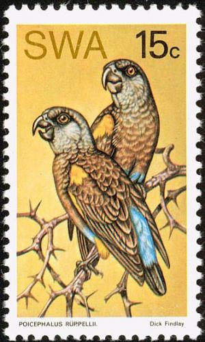 Colnect-2287-609-R-uuml-ppell--s-Parrot-nbsp-Poicephalus-rueppellii.jpg