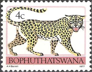 Colnect-2321-267-Leopard-Panthera-pardus.jpg