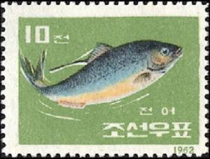 Colnect-2438-119-Konoshiro-Gizzard-Shad-Clupanodon-punctatus.jpg