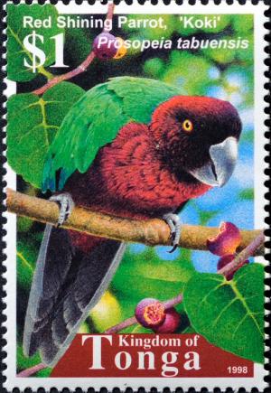 Colnect-2537-706-Red-Shining-Parrot-Pyrrhulopsis-tabuensis.jpg