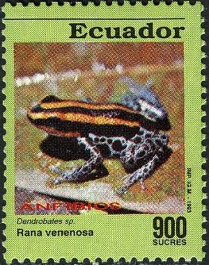 Colnect-2907-550-Poison-Dart-Frog-Dendrobates-sp.jpg