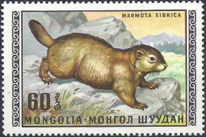 Colnect-2954-517-Hoary-Marmot-Marmota-caligata.jpg