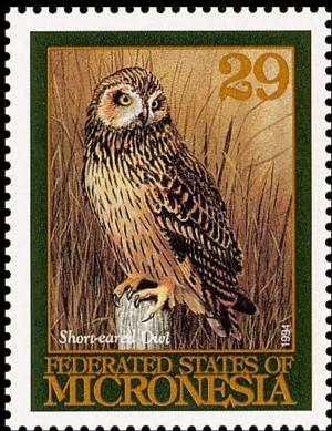 Colnect-3139-791-Short-eared-Owl-Asio-flammeus.jpg