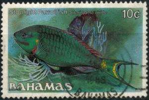 Colnect-4025-285-Stoplight-Parrotfish-Sparisoma-viride.jpg